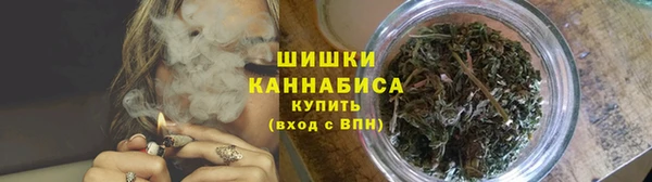 ешки Дмитриев