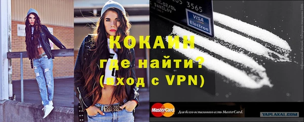 молекула духа Гусиноозёрск