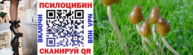 Псилоцибиновые грибы MAGIC MUSHROOMS  Игарка 